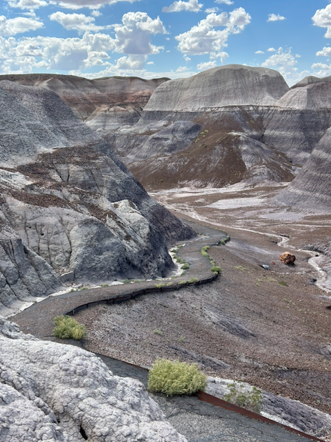 A path winding between striped blue and purple formations at Blue Mesa