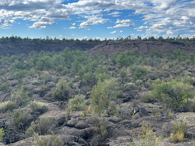 Black lava flows beneath trees and a sky filled with dramatic clouds