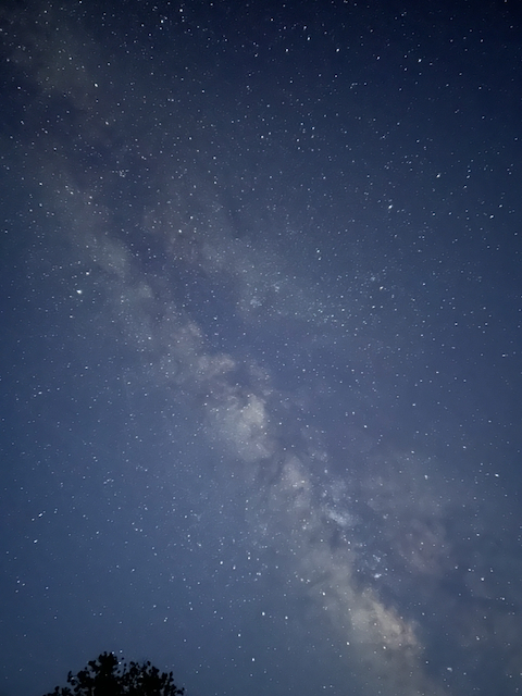 The Milky Way rising through a dense field of stars