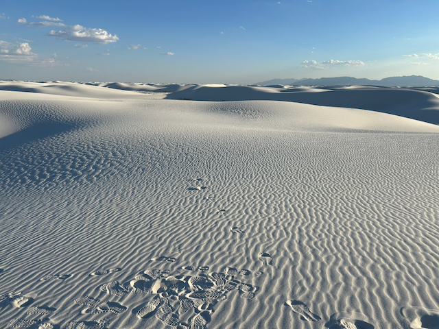 Wind-shaped ripples and footprints crossing the white dunes